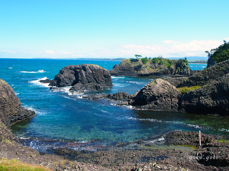 【旅コラム】福井、越前松島で磯あそび