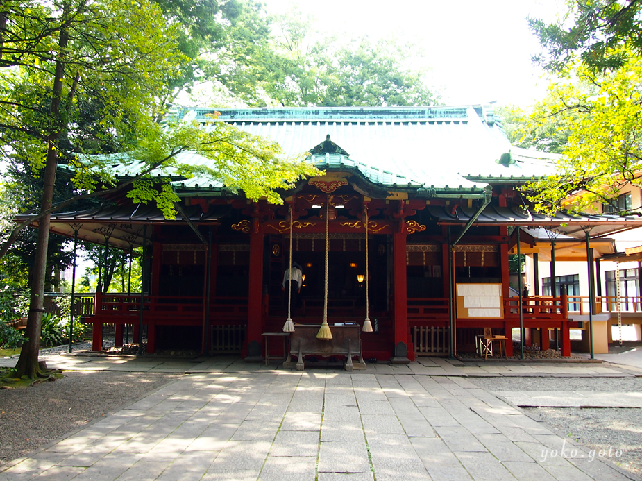 【旅コラム】氷川神社（東京都）