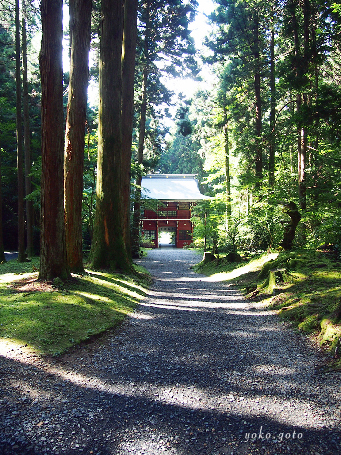 【旅コラム】188柱もの神々が棲む、御岩神社とブレスレット　〜茨城県日立市〜