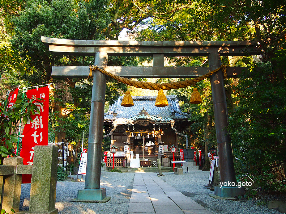 【旅コラム】鎌倉散歩　〜蛭子神社、鶴岡八幡宮、寿福寺、銭洗弁財、八雲神社〜