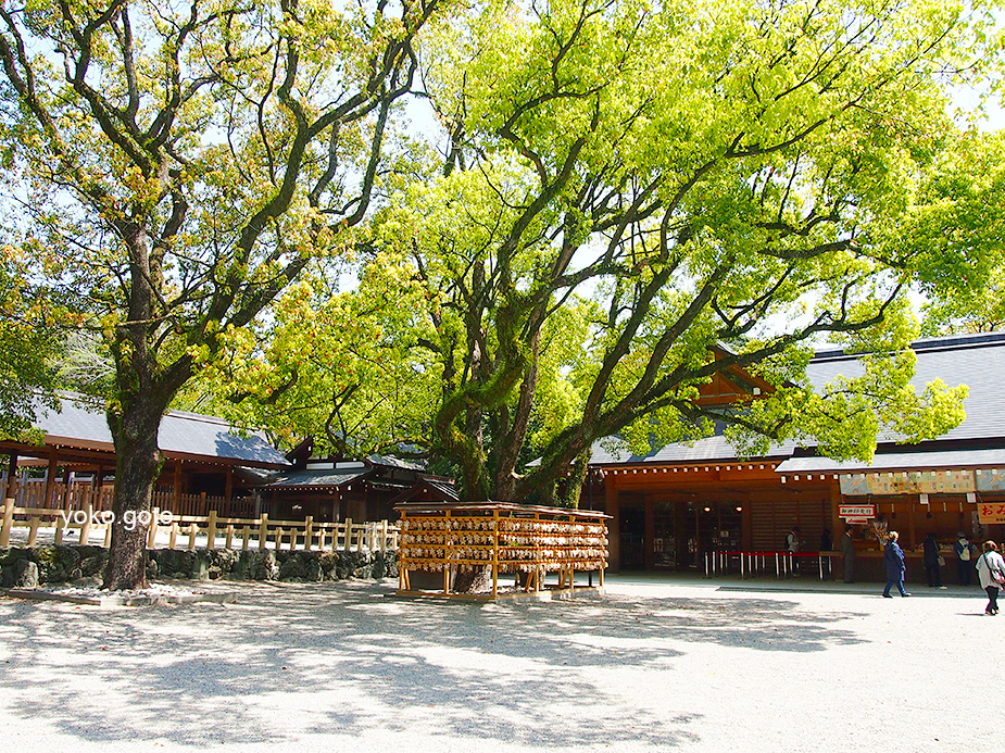 【旅コラム】涼やかな熱田神宮、心の小径と“あつた蓬莱軒”のひつまぶし