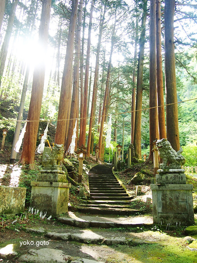 【大嶽山那賀都神社】清々しい渓谷ハイキングをしながら天狗の杜へ
