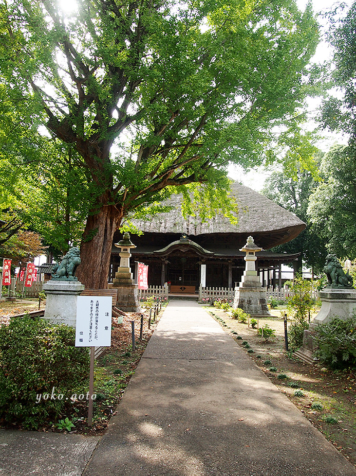 【坂東三十三観音霊場】第二十二番札所　妙福山　佐竹寺（北向観音）-茨城県-