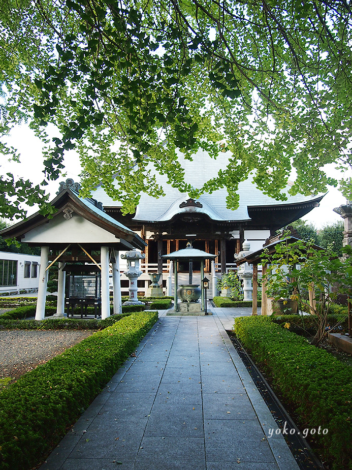 【坂東三十三観音霊場】第八番札所　妙法山　星谷寺（星の谷観音）-神奈川県-