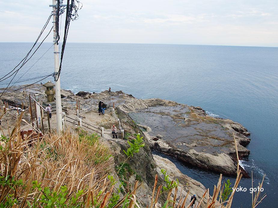 【江の島を遊び尽くす】1日丸ごと江の島観光のおすすめ　〜江島神社から稚児ヶ淵の絶景と磯遊び、江の島で暮らす猫たち〜