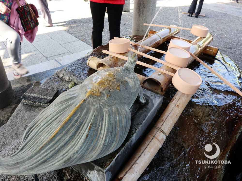 【旅コラム】花の天神様、亀戸天神社の菊まつり（亀戸天満宮）