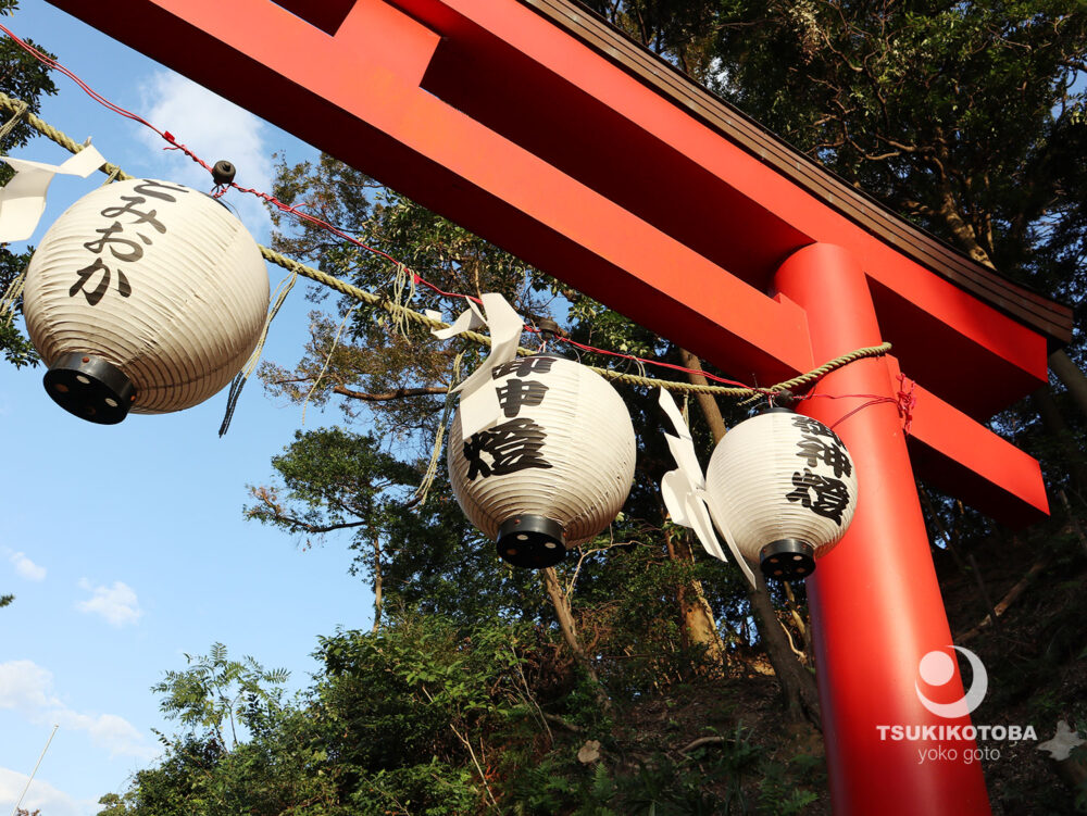 【旅コラム】浜（ハマ）の恵比寿様　富岡八幡宮でおみくじ大吉