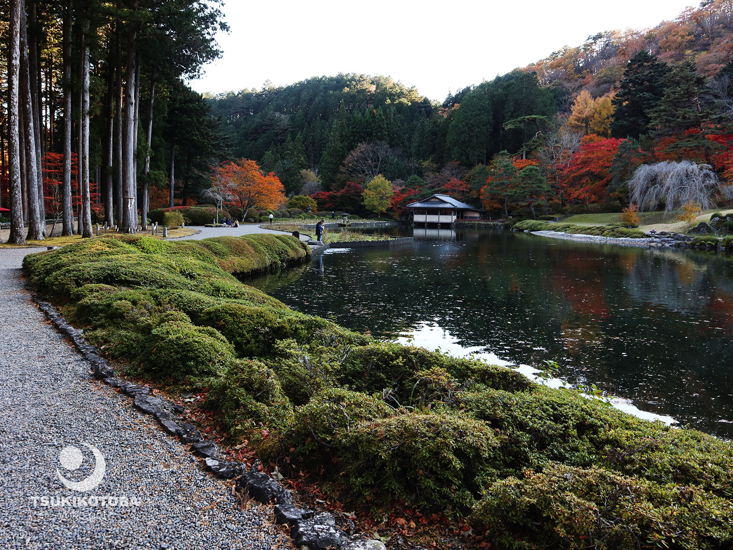 【旅コラム】古峯神社の庭園　古峯園の紅葉
