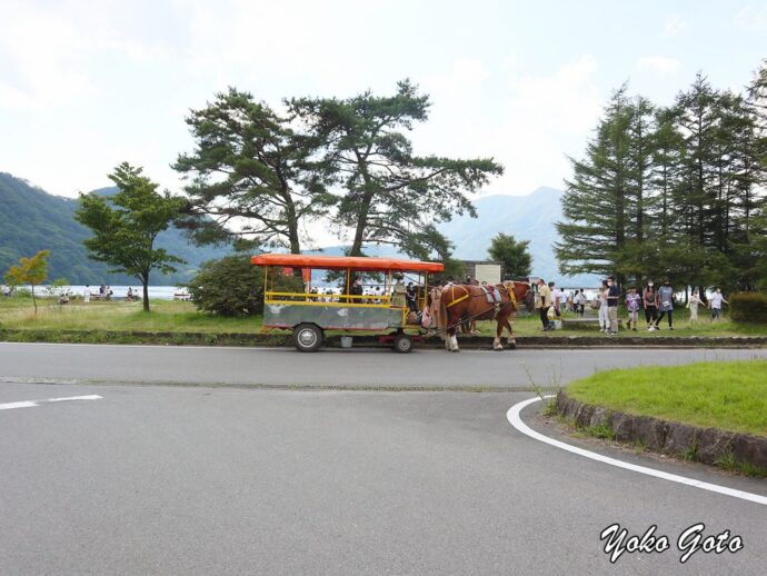 榛名湖　トテ馬車