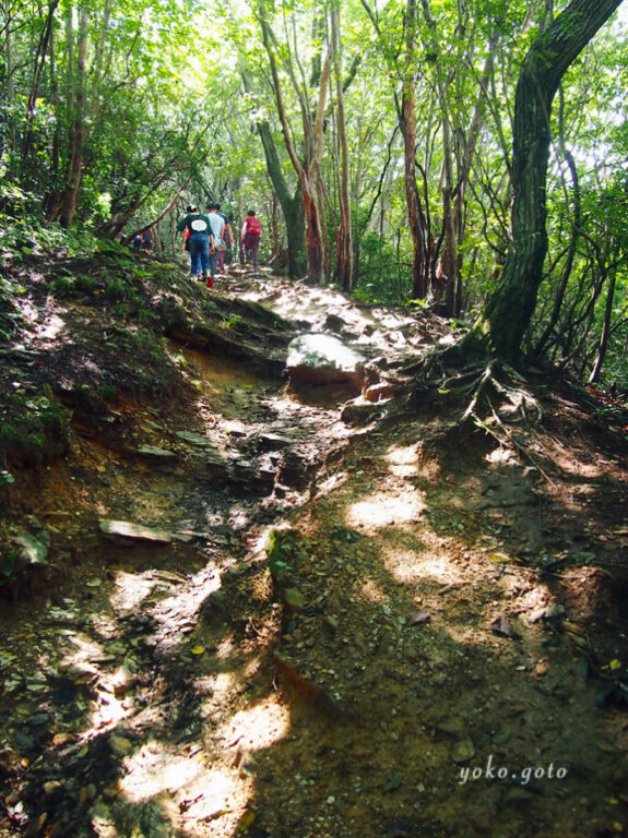 御岩神社　登山