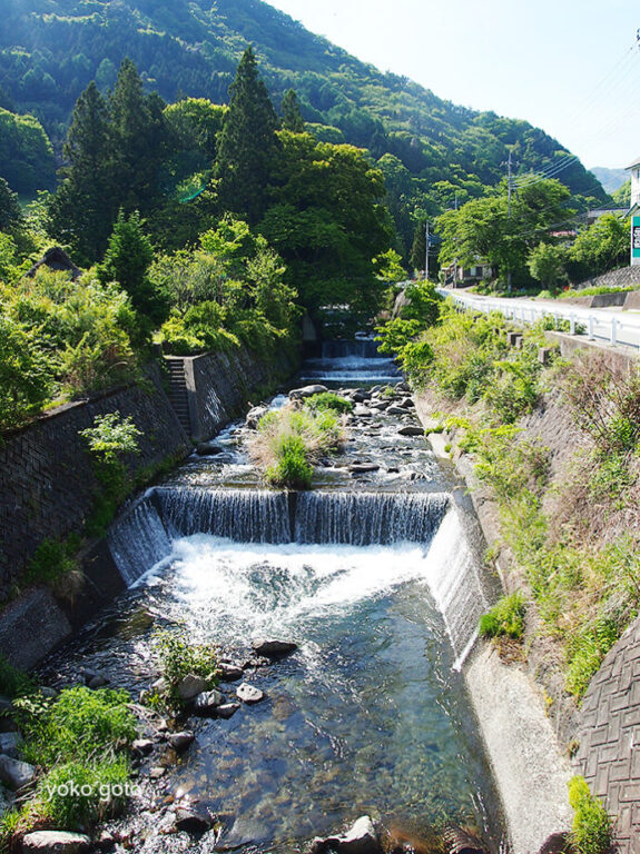 徳和山吉祥寺