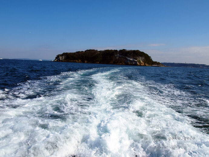 猿島　海