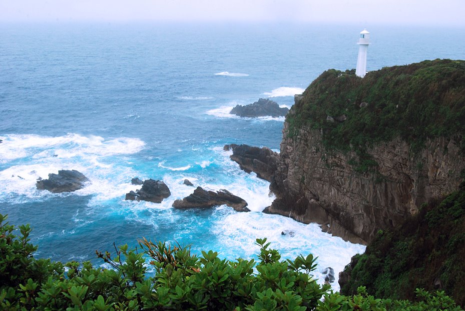 【ブログ】足摺岬と灯台