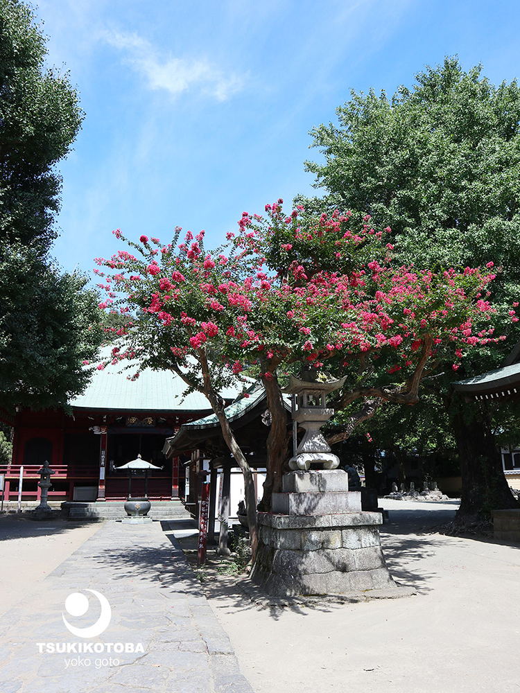 【坂東三十三観音霊場】第五番札所　飯泉山　勝福寺（飯泉観音）-神奈川県-