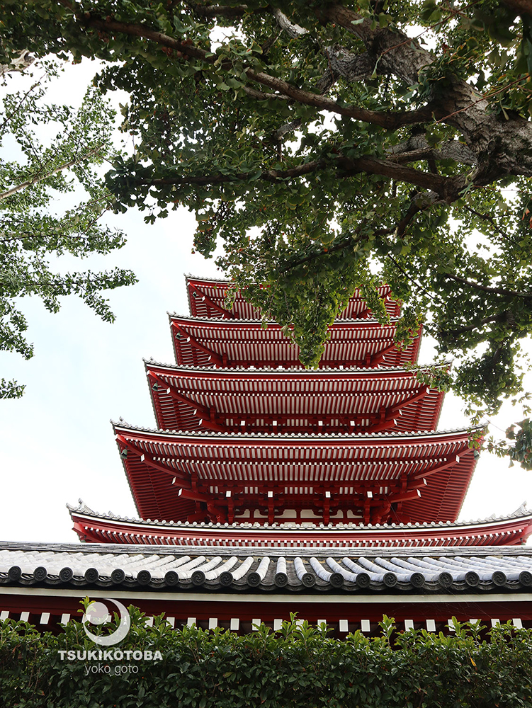 【坂東三十三観音霊場】第十三番札所　金龍山　浅草寺（浅草観音）　-東京都-