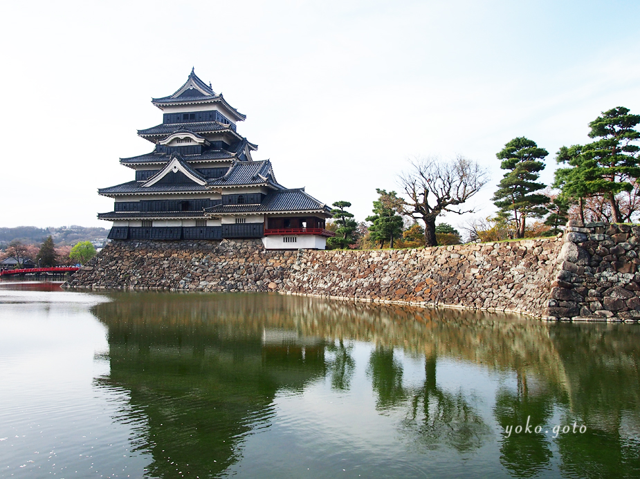 【旅コラム】桜をおいかけて長野（鷹狩山展望台・仁科神明宮・松本城）