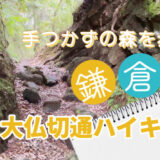 【鎌倉ハイキング】鎌倉行ったらいかなきゃ損！手つかずの鎌倉の森を歩く大仏切通ハイキング（全長4km）