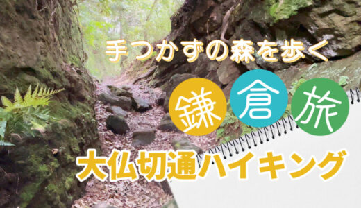 【旅コラム】手つかずの鎌倉の森を歩く、大仏切通ハイキング（全長4km）