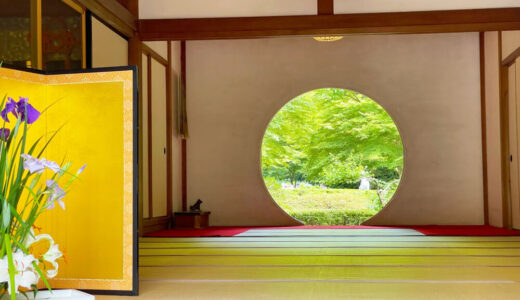 【鎌倉　明月院】紫陽花のトンネルが美しすぎる